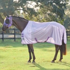 SmartPak Classic Fly Sheet - Clearance! -Lemieux Store 101a bbg 33019 21106 darkirisprint 0827
