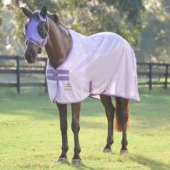 SmartPak Classic Fly Sheet - Clearance! -Lemieux Store 101a bbg 33019 21106 darkirisprint 0828