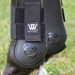 Woof Wear Pro Tendon Boots -Lemieux Store 16710