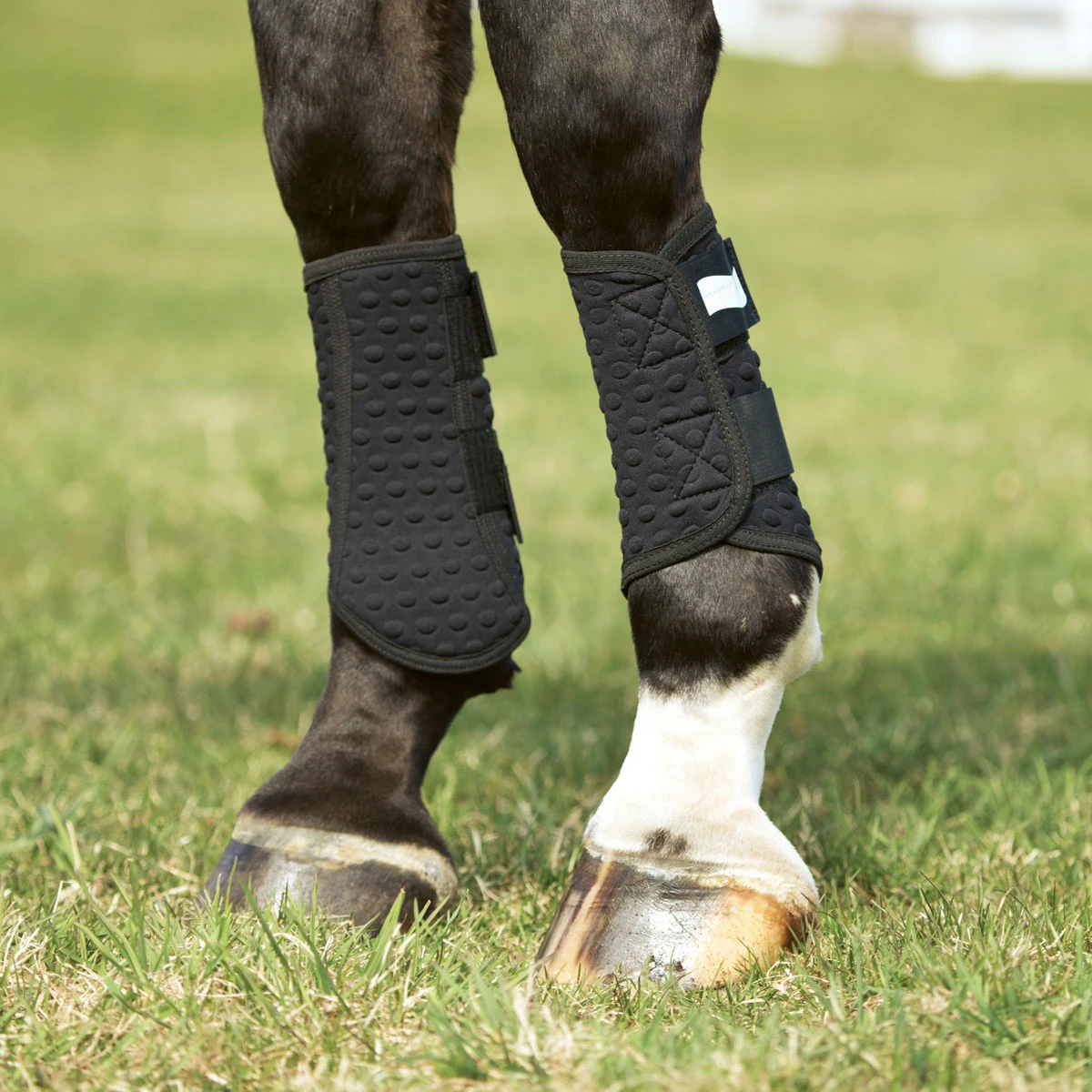 Equilibrium Stretch & Flex Flatwork Wraps 1 Equilibrium Stretch & Flex Flatwork Wraps