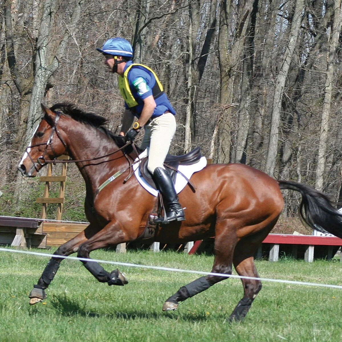 EcoGold Secure XC Saddle Pad 2 EcoGold Secure XC Saddle Pad - Image 2