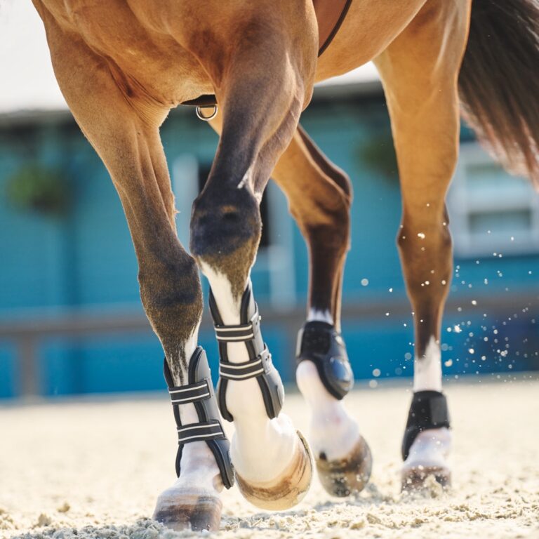 Lemieux Store 25 Lemieux Store -Lemieux Store 21a nfs 35013 35014 19504 26971 26302 blackwhiteeucalyptus print 3596 2 768x768 1