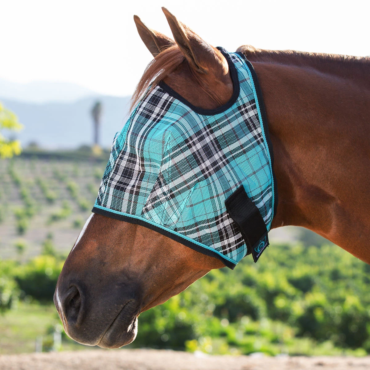 Kensington Fly Mask Without Ears 1 Kensington Fly Mask Without Ears