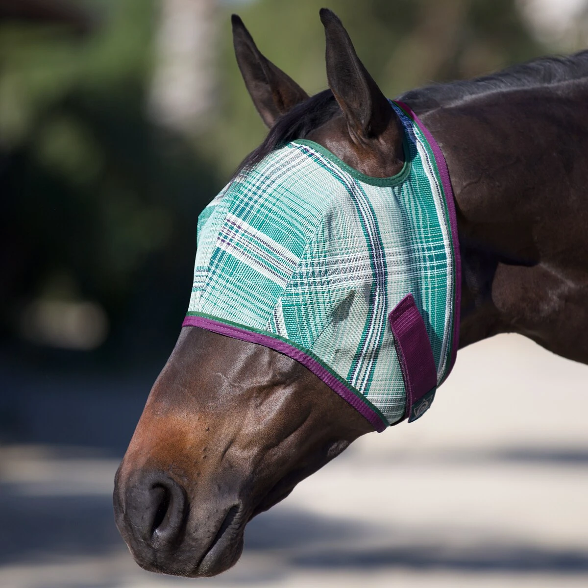 Kensington Fly Mask Without Ears 6 Kensington Fly Mask Without Ears - Image 6