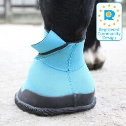 Woof Wear Medical Boot -Lemieux Store 24225 b