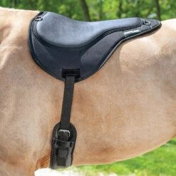 ThinLine Bareback Pad -Lemieux Store 24383 onhorse 9247