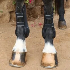 Professional's Choice Pro Performance Open Front Boots -Lemieux Store 32866 black 1