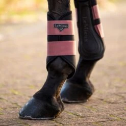 LeMieux Grafter Brushing Boots -Lemieux Store 33285 orchid 1