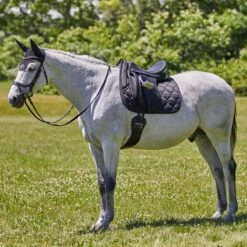 SmartPak Luxe Collection Dressage Saddle Pad -Lemieux Store 33397 33487 black 8456