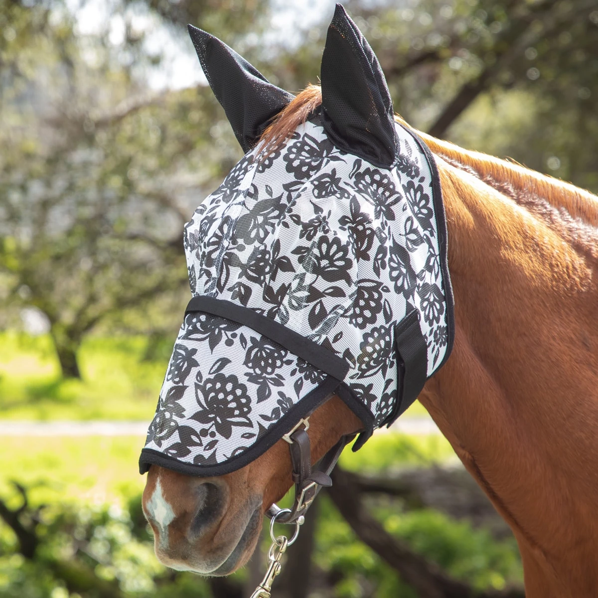 Mackey Mesh Fly Mask W/ Ears And Detachable Nose 1 Mackey Mesh Fly Mask W/ Ears And Detachable Nose