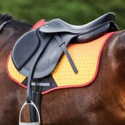 Weatherbeeta Prime Ombre AP Pad -Lemieux Store 33798 autumn glow 2