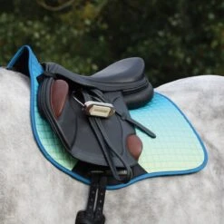 Weatherbeeta Prime Ombre AP Pad -Lemieux Store 33798 oceans reef 2