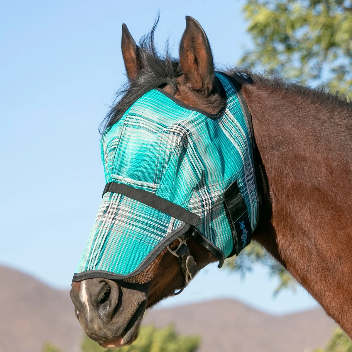 Kensington Fly Mask W/Removable Nose Without Ears 6 Kensington Fly Mask W/Removable Nose Without Ears - Image 6