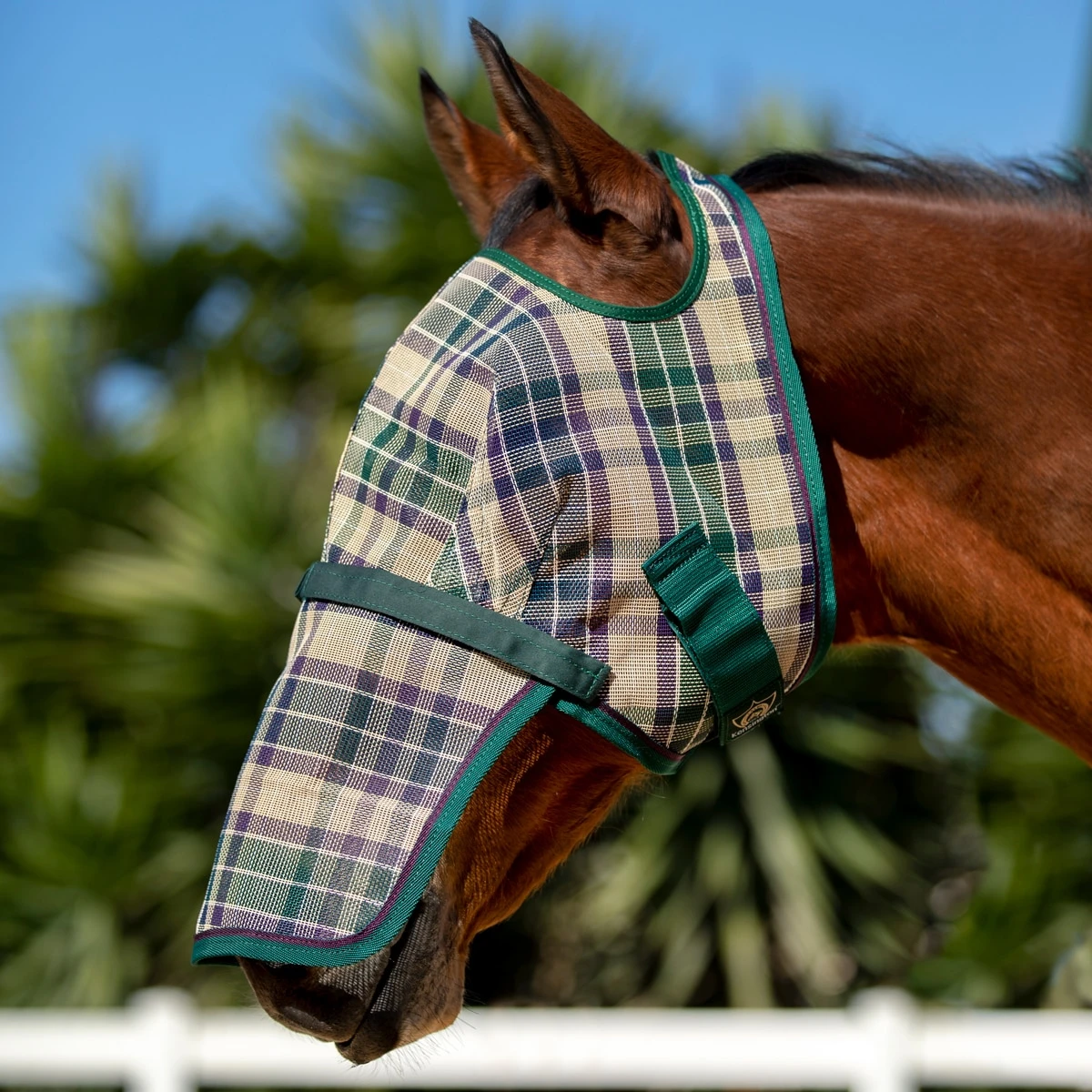 Kensington Fly Mask W/Removable Nose Without Ears 1 Kensington Fly Mask W/Removable Nose Without Ears
