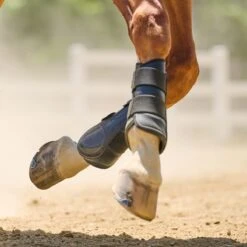 SmartPak Deluxe Brushing Boots -Lemieux Store 34257 black hra pg8 20002 rgb