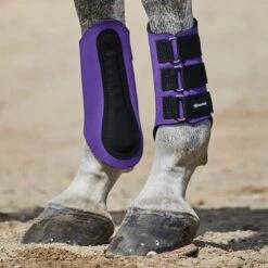 SmartPak Neoprene Splint Boots II -Lemieux Store 34490 purple 9064