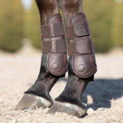 LeMieux Capella Leather Tendon Boots -Lemieux Store 34749 brown 3