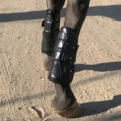 Lemieux Store -Lemieux Store 35105 black 2